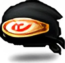 Bronze Identity icon
